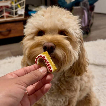Canadian Dog Advent Calendar 2026