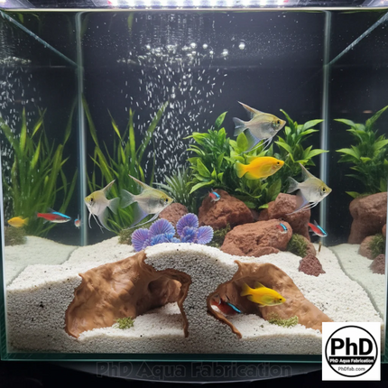Aquarium Cave Decor - 3D Printed Rock Feature Hideout for Betta & Shrimp - Natural Stone Look Fish Tank Ornament - "Which Way" Model