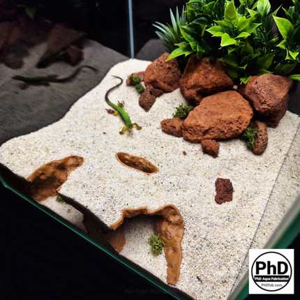 Aquarium Cave Decor - 3D Printed Rock Feature Hideout for Betta & Shrimp - Natural Stone Look Fish Tank Ornament - "Which Way" Model