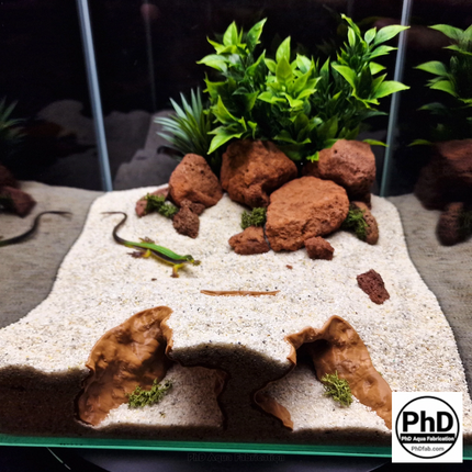 Aquarium Cave Decor - 3D Printed Rock Feature Hideout for Betta & Shrimp - Natural Stone Look Fish Tank Ornament - "Which Way" Model