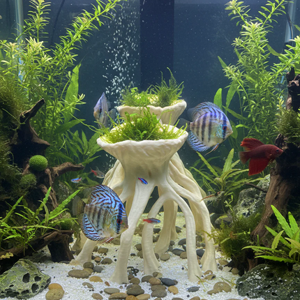 Aquarium Wood Decor Mangrove Root Planters - 3D Printed Mangrove Roots for Live Plants - "Mangrove Root Planters" Model