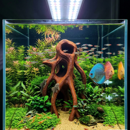 Aquarium Wood Decor - Tall 3D Printed Natural Look Wood Propagules for Vertical Aquascaping - "High Mangrove Roots" Model