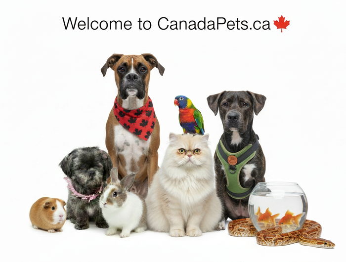 Welcome to CanadaPets.ca with Snake