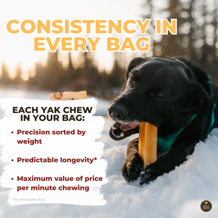 Himalayan Yak Chew Flavour Pack