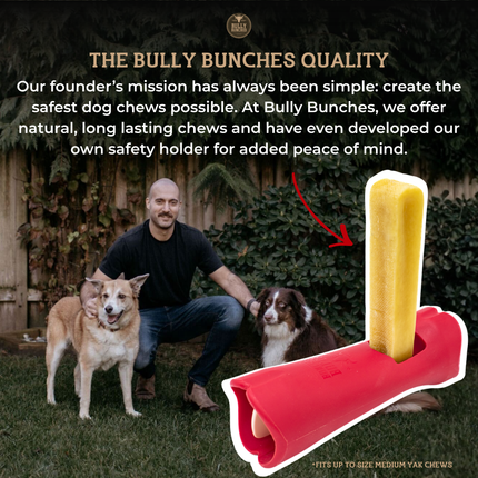 Himalayan Yak Chew Flavour Pack